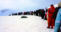 033108-antarctic_expedition2-258.jpg