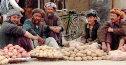 050408potato258-1.jpg