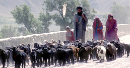 10-02-2010-Jalal_abad_traveler-258.jpg