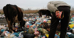 102307recycling-1-258.jpg