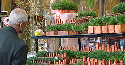 18-03-2010-Sabze_nowrouz_1389-258.jpg