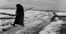 28-10-2009-Istanbul_biennial-258.jpg