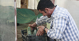29-07-2010-Afghan_refuge_in_iran-258.jpg