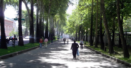 Dushanbeh_city1.jpg خيابانى در دوشنبه