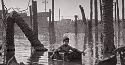 Iran_war_exhibition_258.jpg
