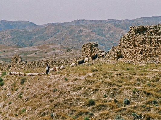 Even more amazing is the fort, ‘Shiyagh’, built at the top of high hill, covering tens of hectares and with walls seven to ten metres high and two metres thick. It is estimated to be 2000 years old and was probably used as a storage for grain from Mesopotamia in the Sassanian era. 