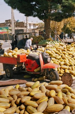 و از همه شهره تر خربزه