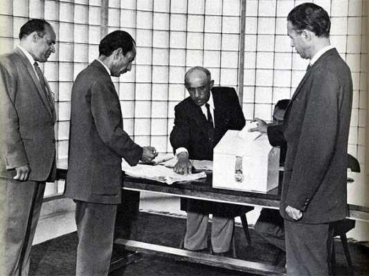 Voters cast their ballots for the national assembly elections