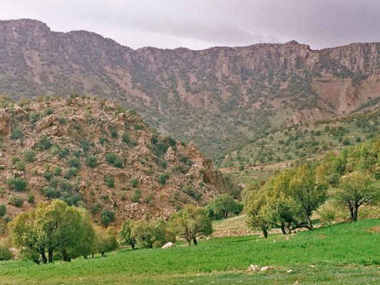 Driving north from the city of Ilam brings you here. It is called ‘Tangeh Arghavan’ and is covered in a thick forest of chestnut, turpentine, crabapple, wild cherry, mountain fig and judas trees.